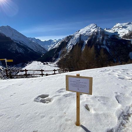 Hotel Belvedere Cogne Exterior foto